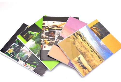 Album fotografico - album,