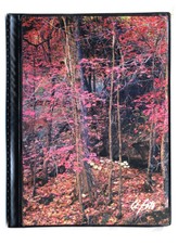 1 Album fotografico porta